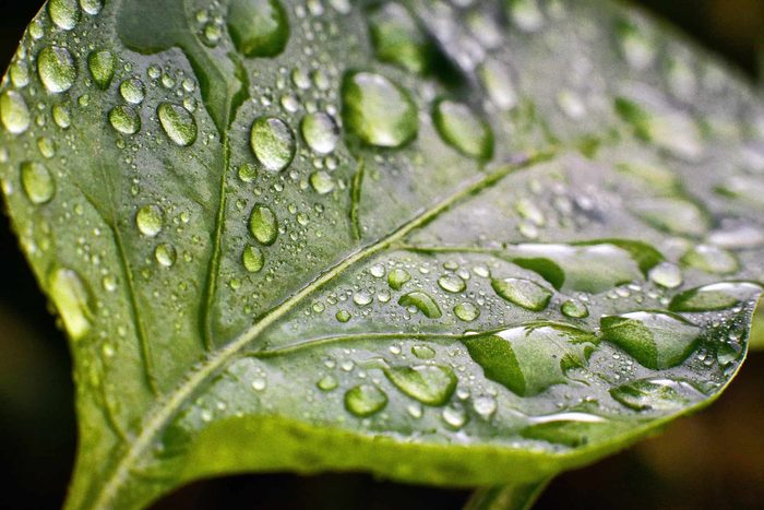 Raindrops on glass